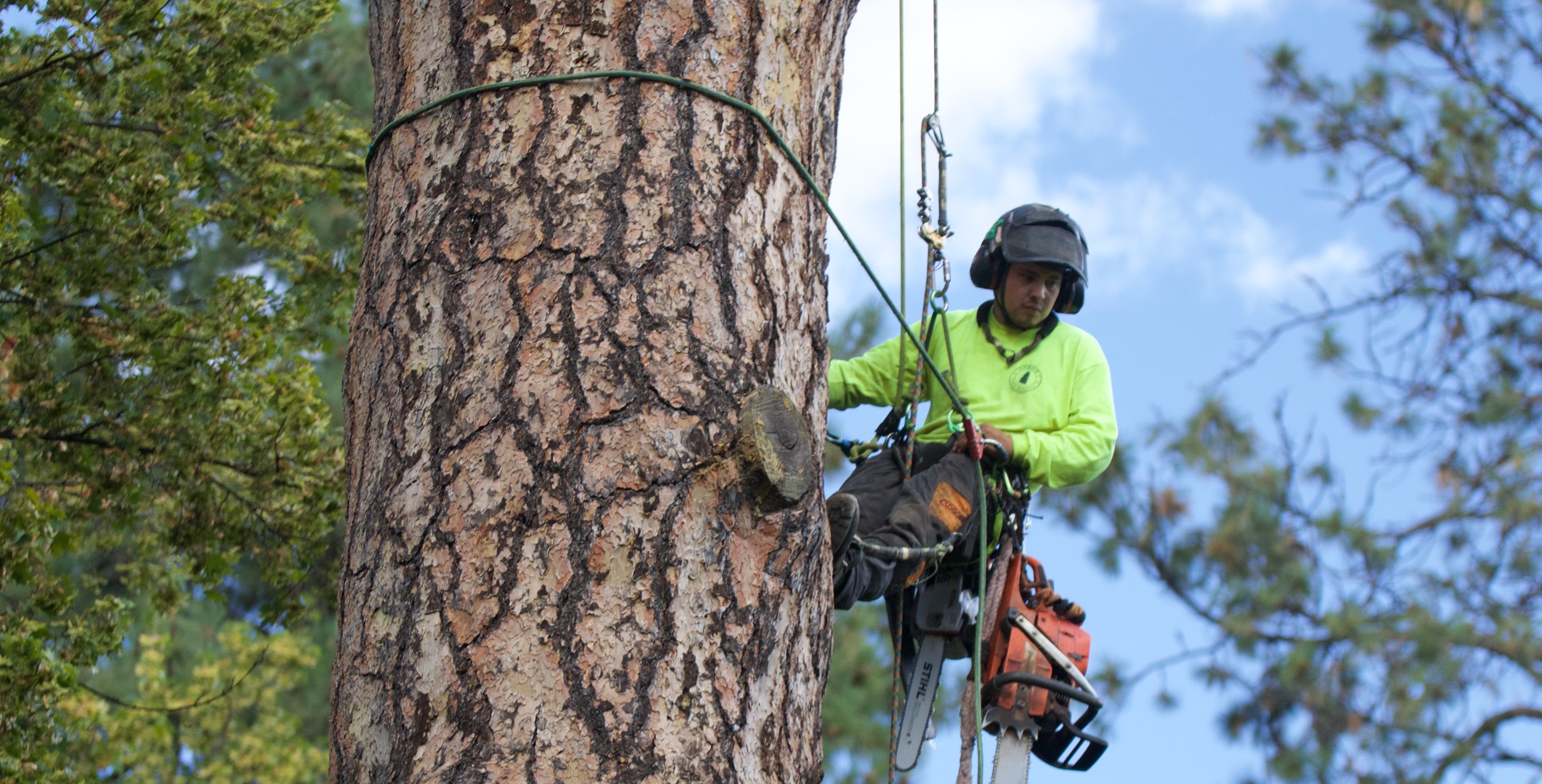 Canton Tree Pros