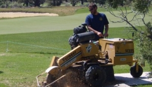 Stump Grinding Services