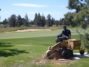 Stump grinding