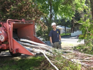 Tree Trimming and Chipping