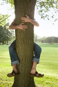 tree hugging Arbor 1 Tree Service