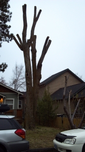 Why Topping Trees is Bad