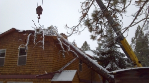 storm damaged trees bend oregon