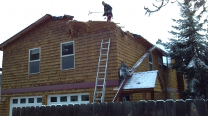 Tree Damage on House Bend Oregon