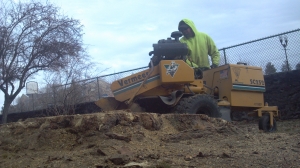 Stump Removal Bend Oregon