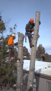 winter tree removal central Oregon