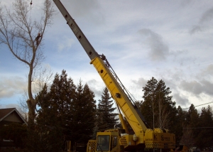 tree removal with crane in Bend, Oregon