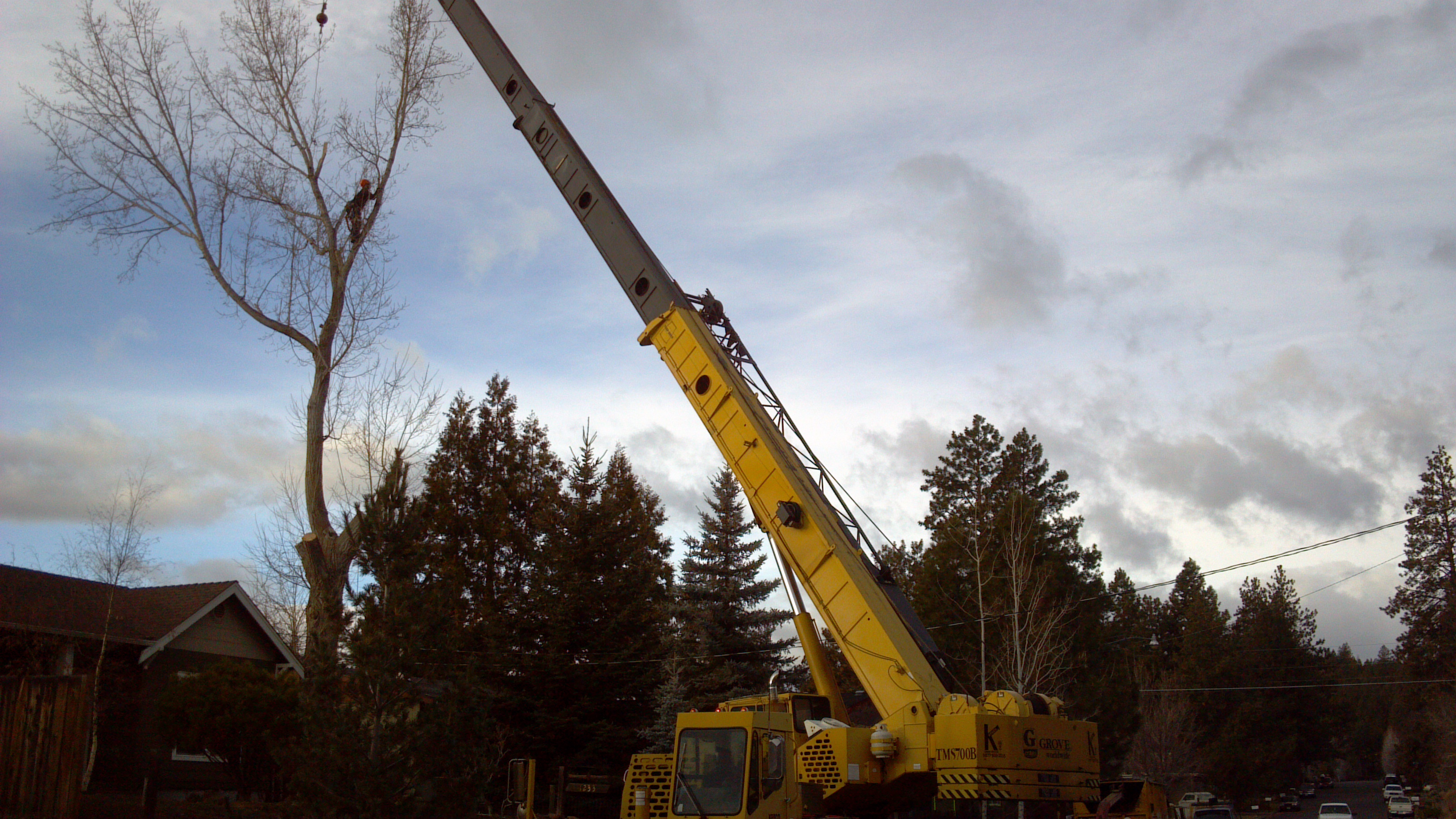 Tree Removal with Crane | Arbor 1 Tree Service