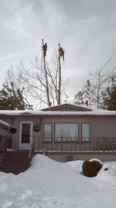 winter tree removal in central oregon