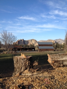 tree removal deschutes county