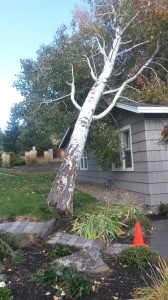 wind storm damage bend oregon