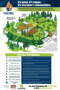 fire free posters